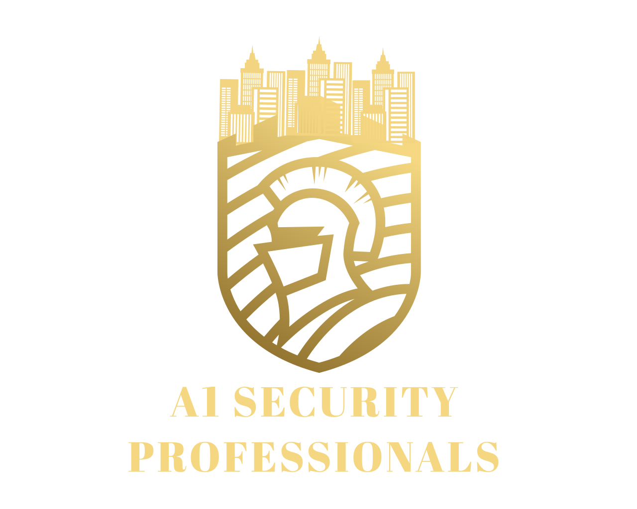 Logo A1 security