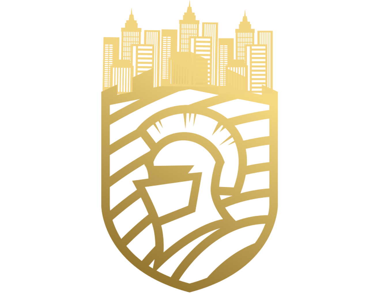 A1 Shield